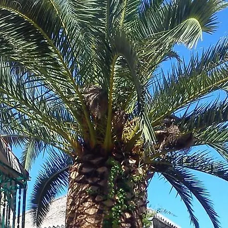 Holiday * Grohote